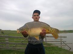 Sustra 2012 jud Timis